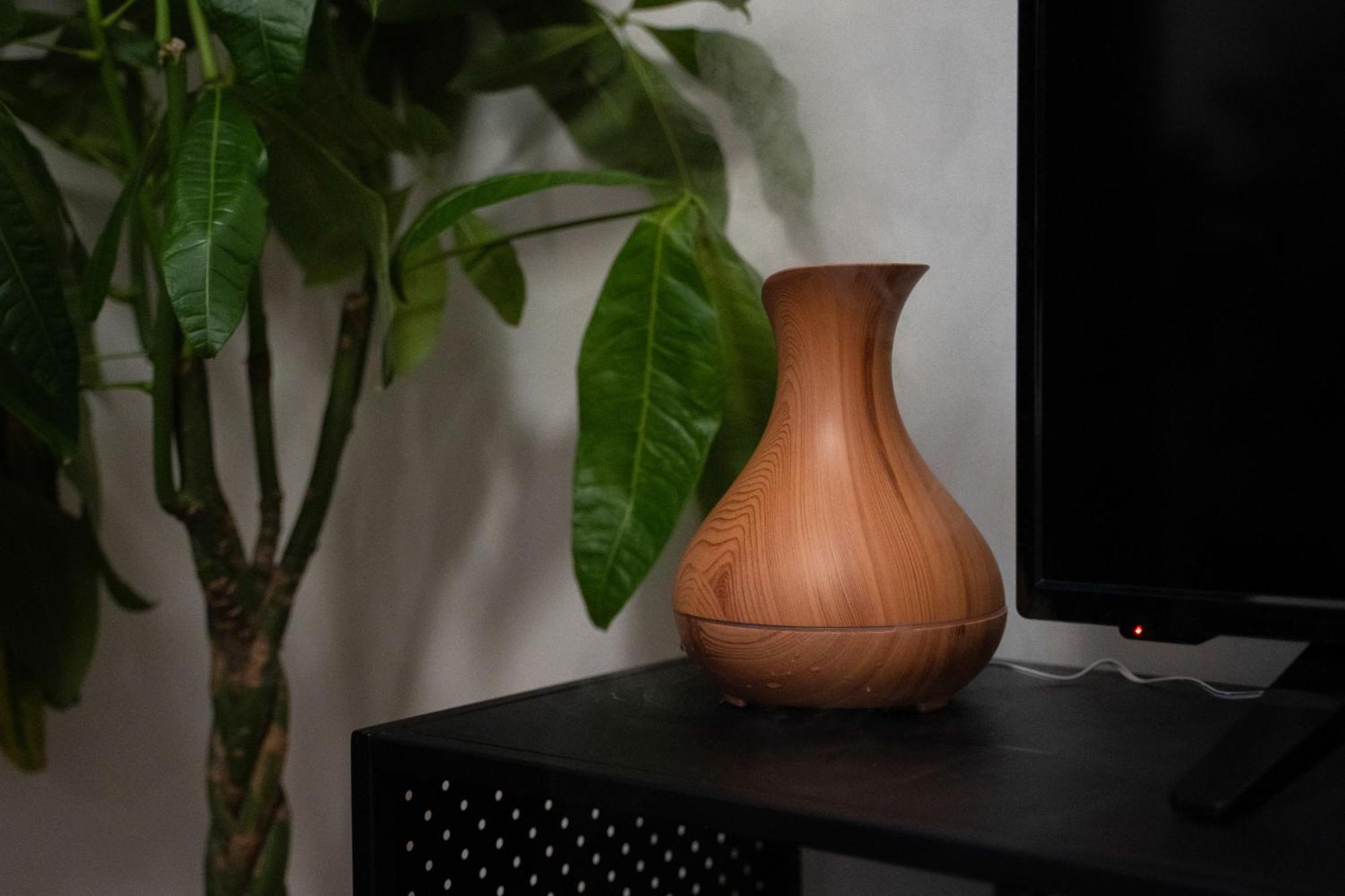 Ludwig - Films & Movies Collection Apartma