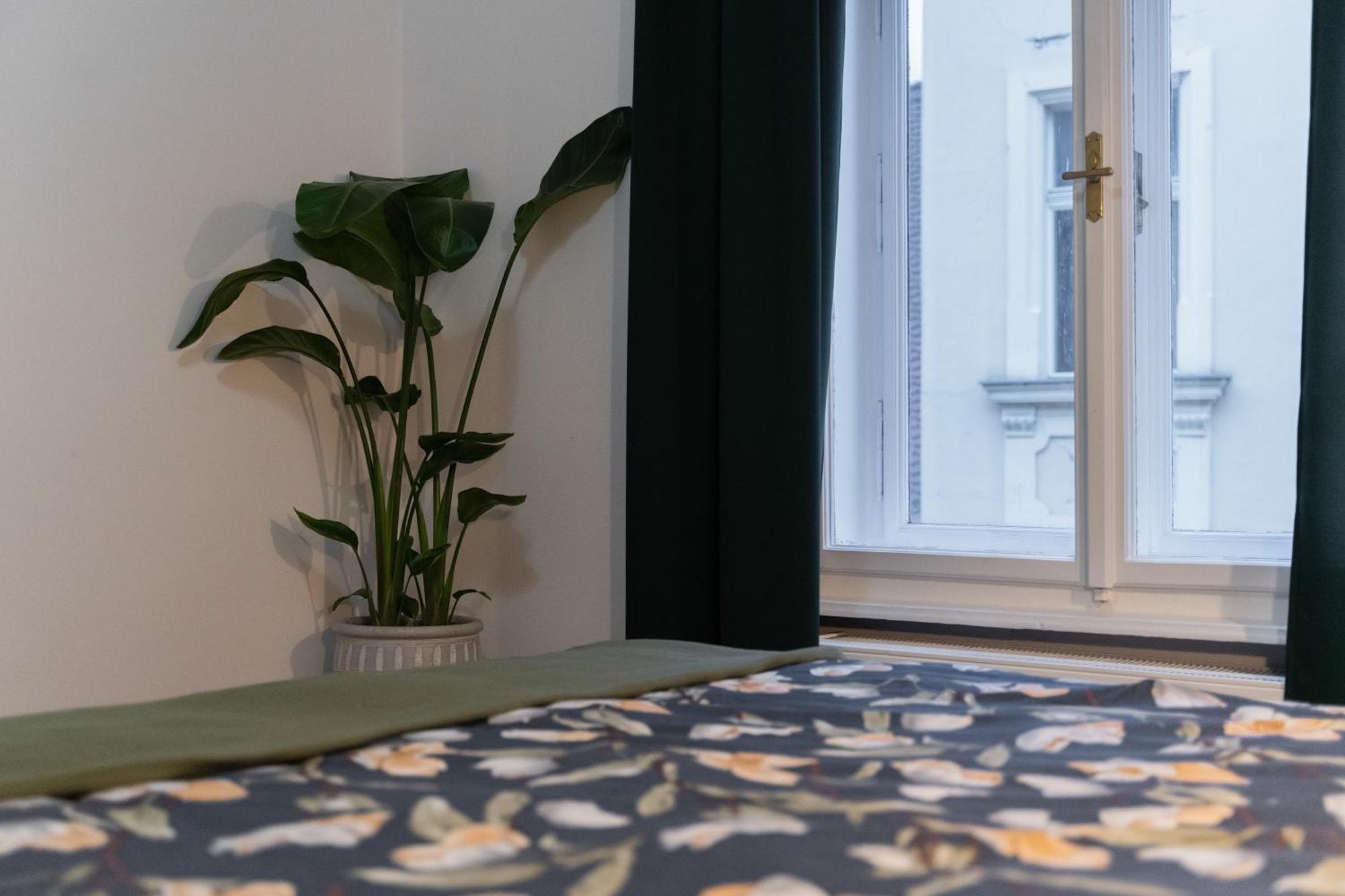 Apartma Ludwig - Films & Movies Collection *